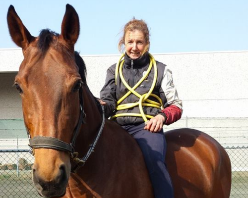 Horse Palace Oud Gastel Veronica Oud gastel pensionstal paard