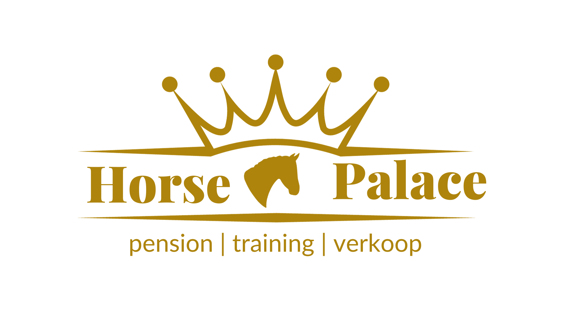 paarden pensionstal huren oud gastel
